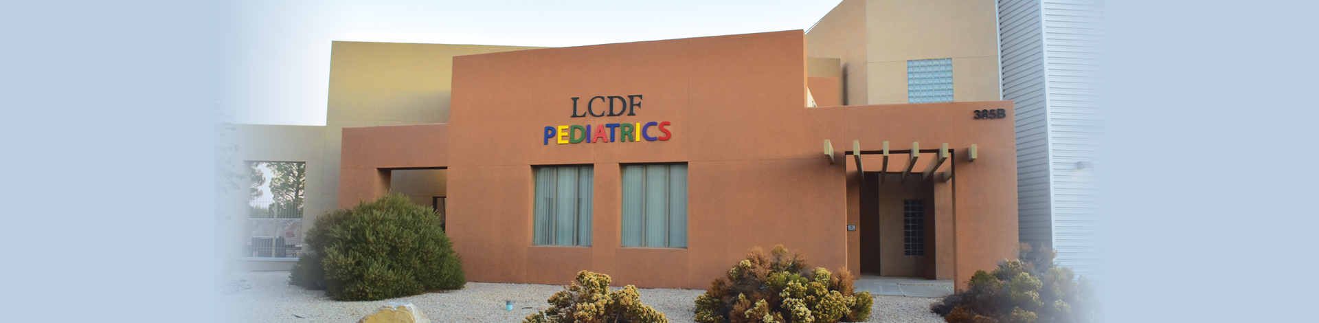 lcdf-pediatrics-banner